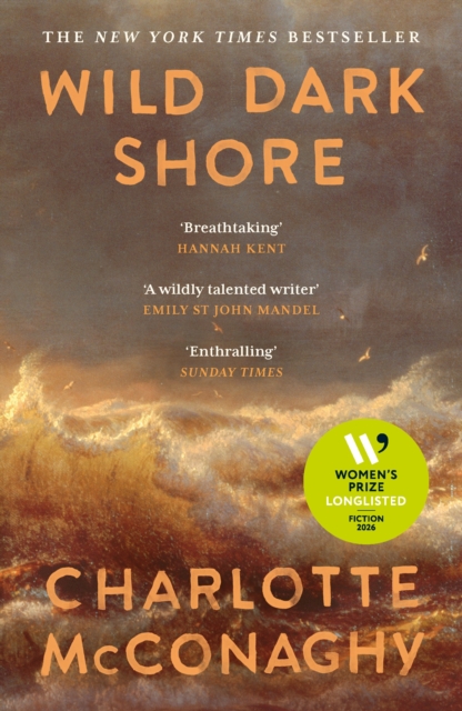 Wild Dark Shore cover
